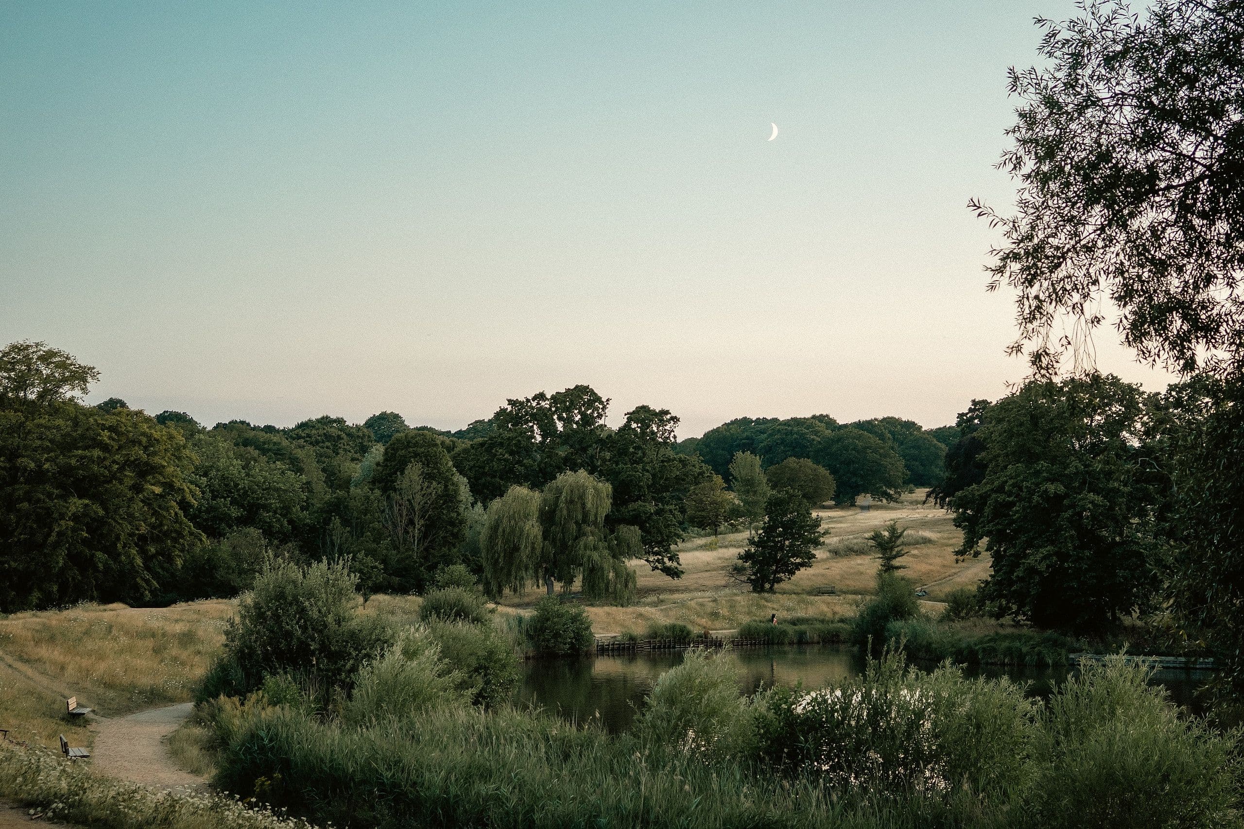 The Heath